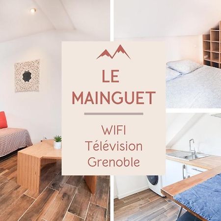 Le Mainguet - Appartement Cosy - Grenoble Kültér fotó