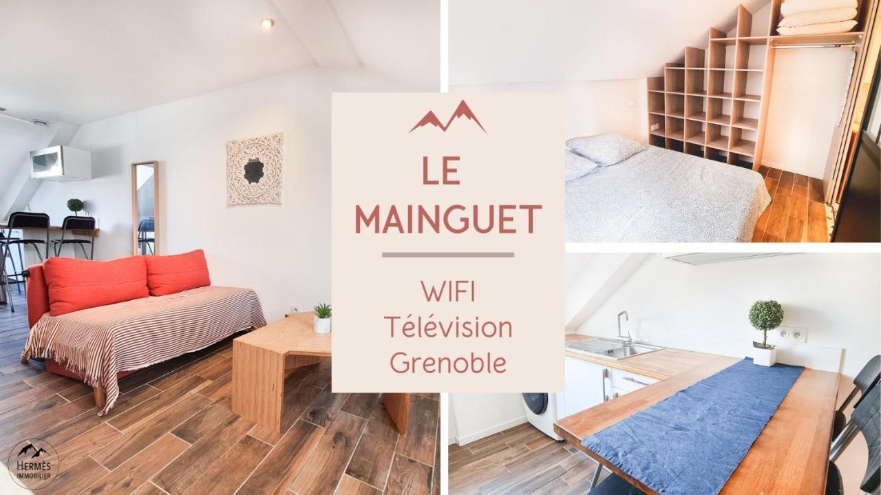 Le Mainguet - Appartement Cosy - Grenoble Kültér fotó